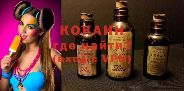 мет Алексин