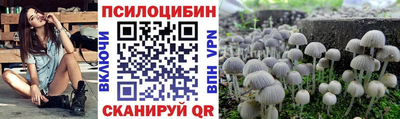 Псилоцибиновые грибы Psilocybine cubensis  Асино 